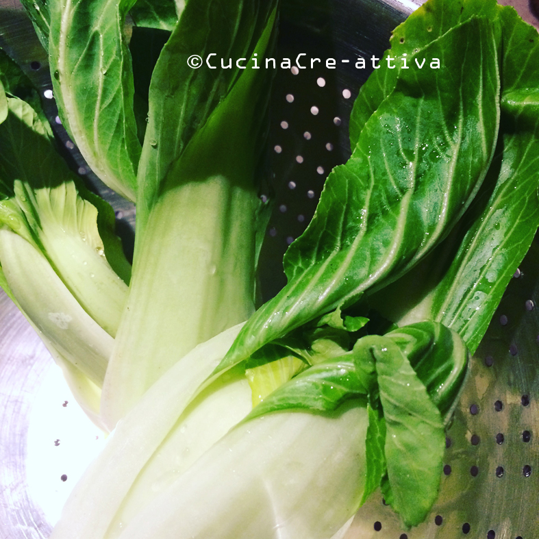 pakchoi